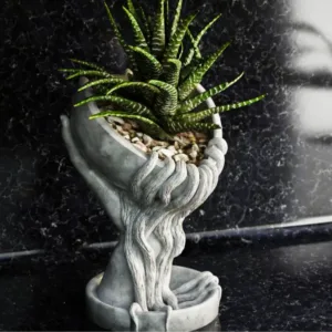 Heart Roots Vase – Elegant Love-Inspired Planter