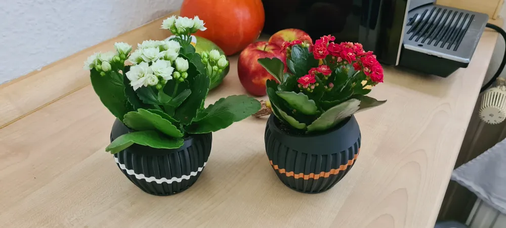 2024-09-23_2cf42aad19bc7 Design Vase