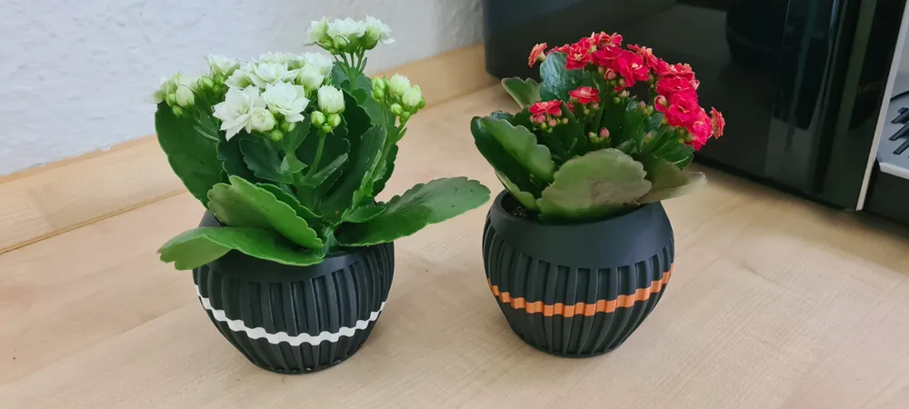 2024-09-23_8d580d6c47006 Design Vase